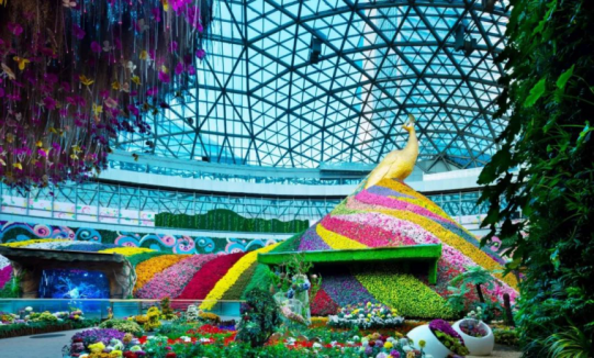 J9集团|国际站官网