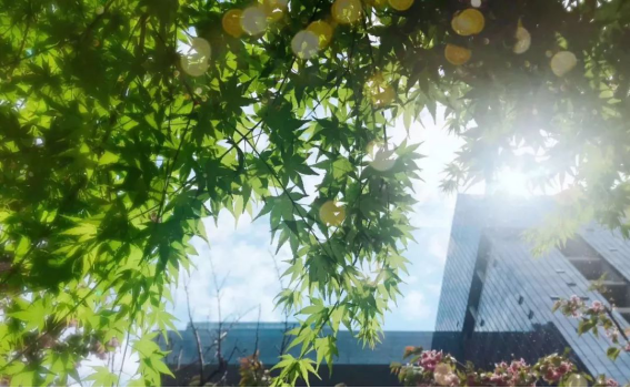 J9集团|国际站官网